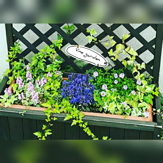 f:id:nagna:20210210224418j:image