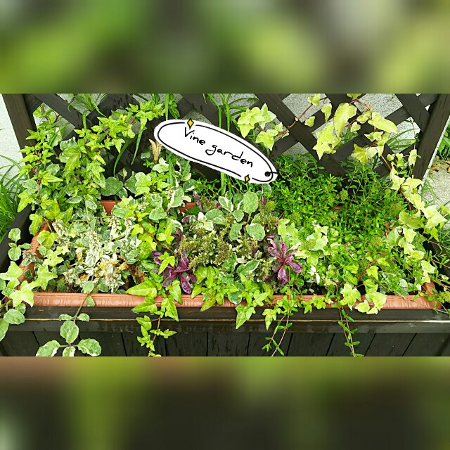 f:id:nagna:20210210224854j:image