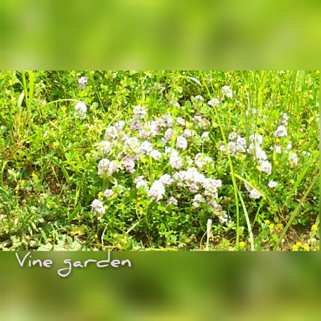 f:id:nagna:20210210233323j:image