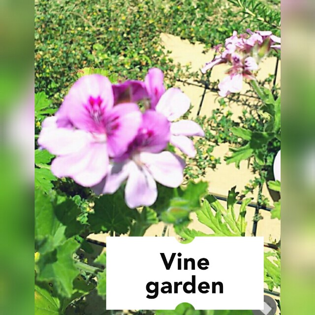 f:id:nagna:20210212003925j:image f:id:nagna:20210212003925j:image