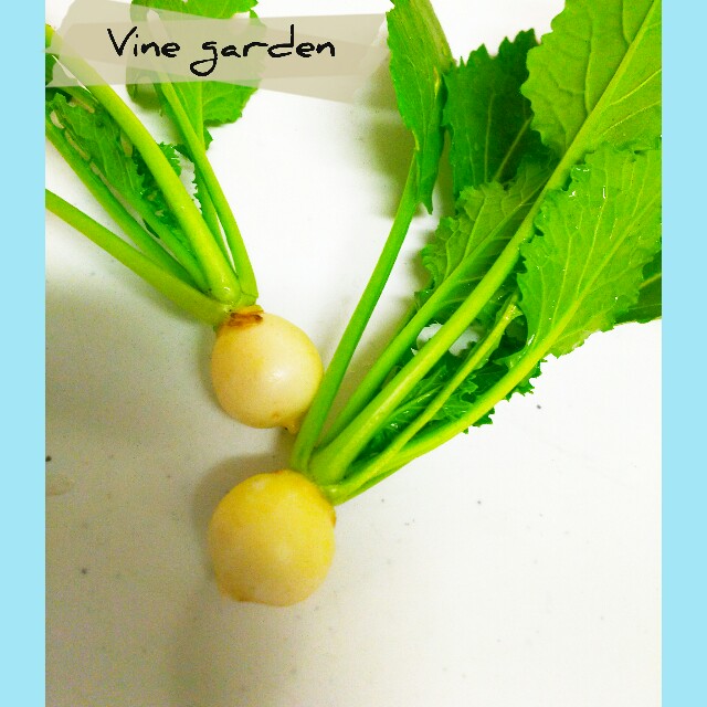 f:id:nagna:20210215000331j:image f:id:nagna:20210215000331j:image