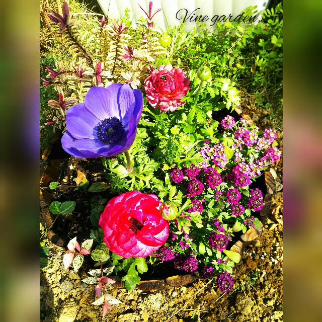 f:id:nagna:20210221225719j:image