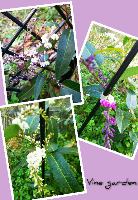 f:id:nagna:20210221225831j:image