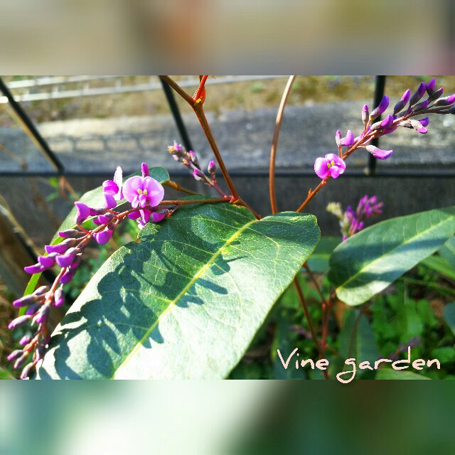 f:id:nagna:20210221230210j:image