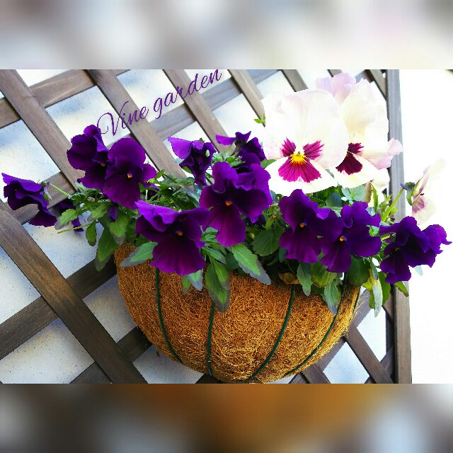 f:id:nagna:20210221231027j:image