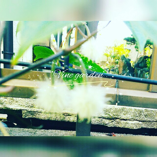 f:id:nagna:20210301083204j:image