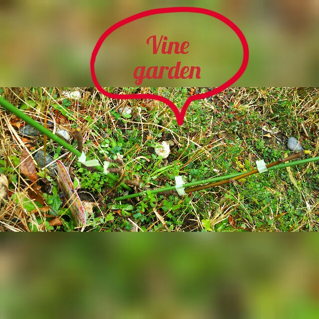 f:id:nagna:20210302174554j:image