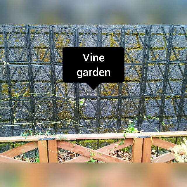 f:id:nagna:20210302182240j:image f:id:nagna:20210302182240j:image