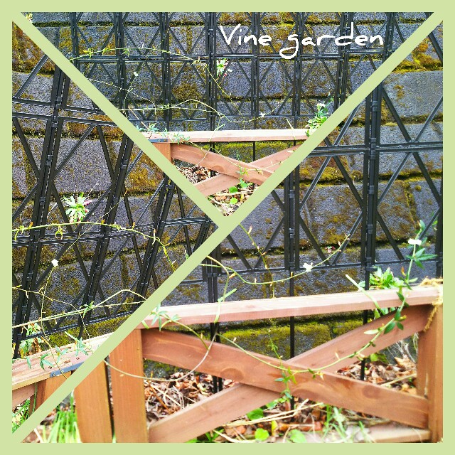 f:id:nagna:20210302182614j:image f:id:nagna:20210302182614j:image