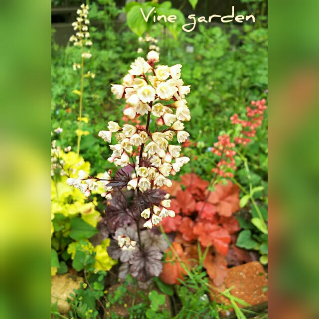 f:id:nagna:20210313002139j:image