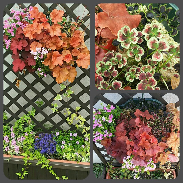 f:id:nagna:20210314084429j:image