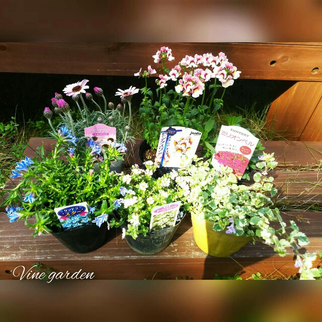 f:id:nagna:20210318082744j:image f:id:nagna:20210318082744j:image