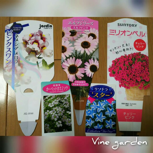 f:id:nagna:20210318083149j:image f:id:nagna:20210318083149j:image