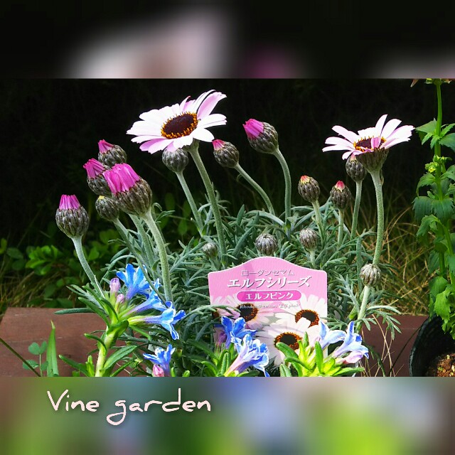 f:id:nagna:20210321001406j:image f:id:nagna:20210321001406j:image