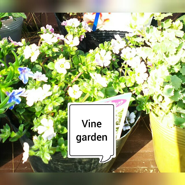 f:id:nagna:20210321001429j:image f:id:nagna:20210321001429j:image