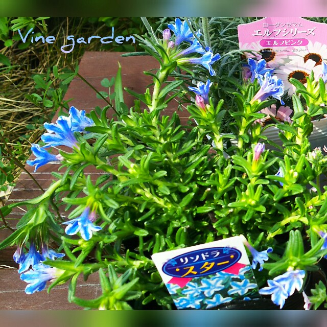 f:id:nagna:20210321001445j:image f:id:nagna:20210321001445j:image