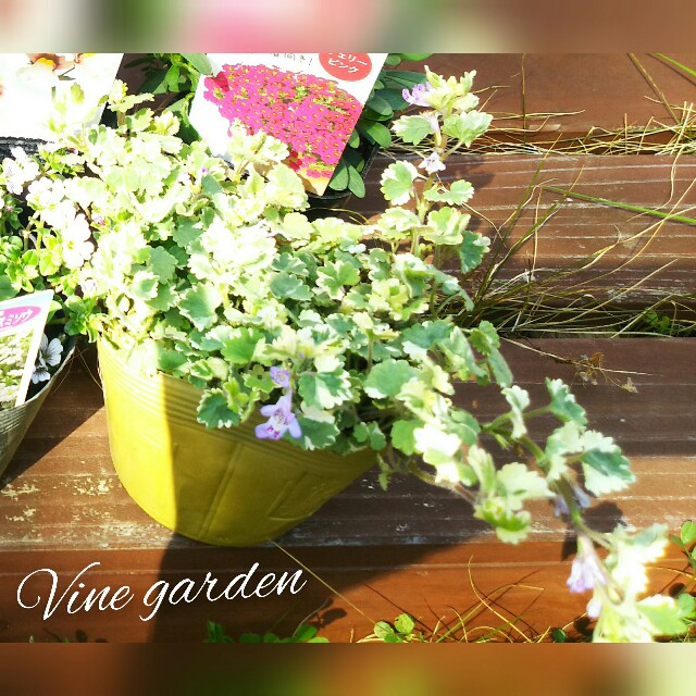 f:id:nagna:20210321001558j:image f:id:nagna:20210321001558j:image