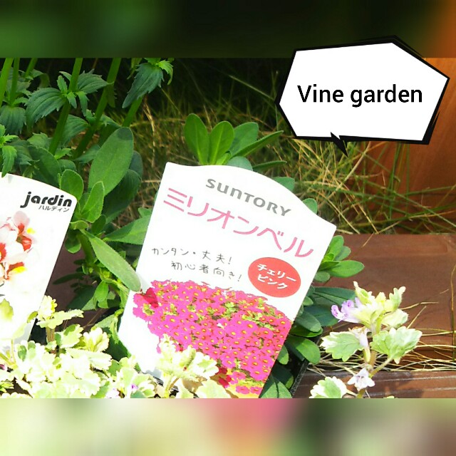 f:id:nagna:20210321002005j:image f:id:nagna:20210321002005j:image