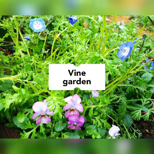 f:id:nagna:20210326233045j:image f:id:nagna:20210326233045j:image