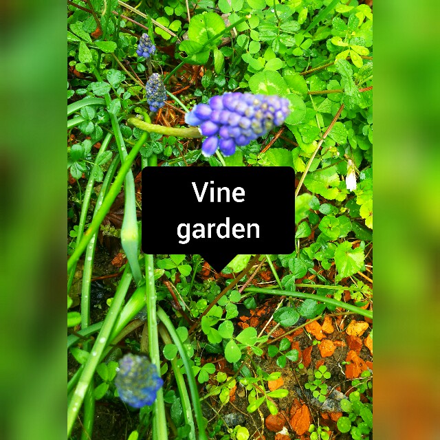 f:id:nagna:20210326233241j:image f:id:nagna:20210326233241j:image