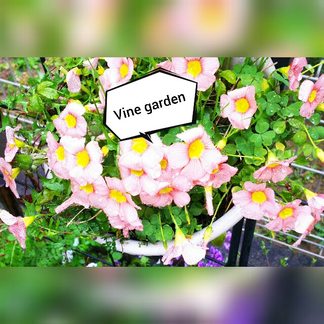 f:id:nagna:20210401063112j:image f:id:nagna:20210401063112j:image