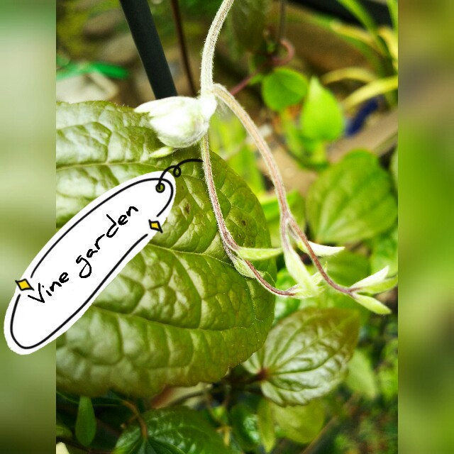 f:id:nagna:20210401064008j:image f:id:nagna:20210401064008j:image