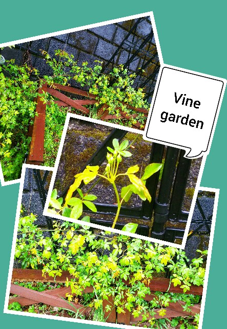 f:id:nagna:20210401064138j:image f:id:nagna:20210401064138j:image