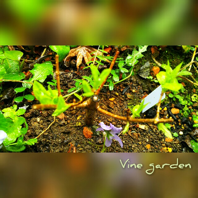 f:id:nagna:20210401083700j:image f:id:nagna:20210401083700j:image