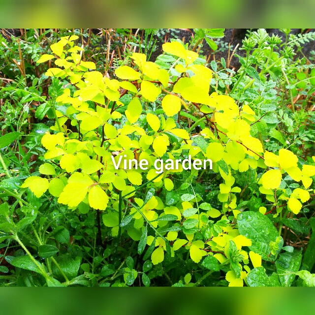 f:id:nagna:20210401083936j:image f:id:nagna:20210401083936j:image