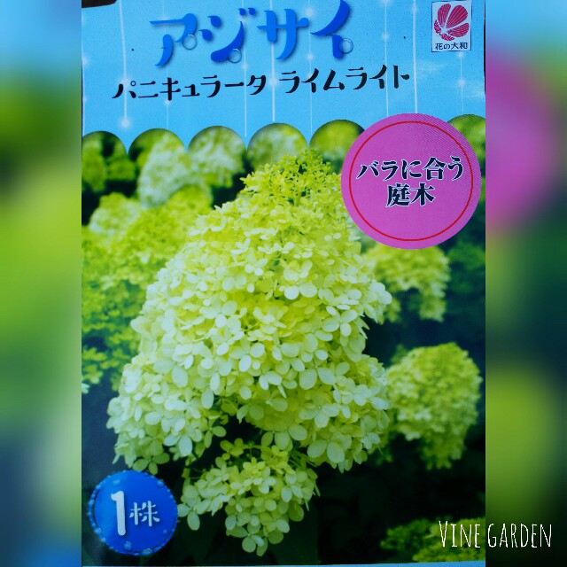 f:id:nagna:20210504082051j:image f:id:nagna:20210504082051j:image