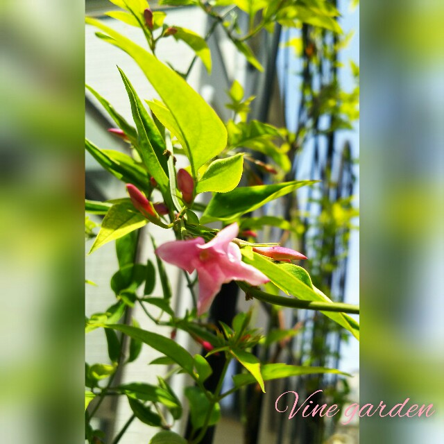 f:id:nagna:20210504230540j:image f:id:nagna:20210504230540j:image