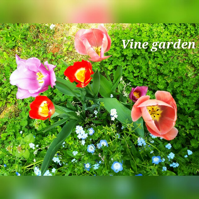 f:id:nagna:20210509165910j:image f:id:nagna:20210509165910j:image