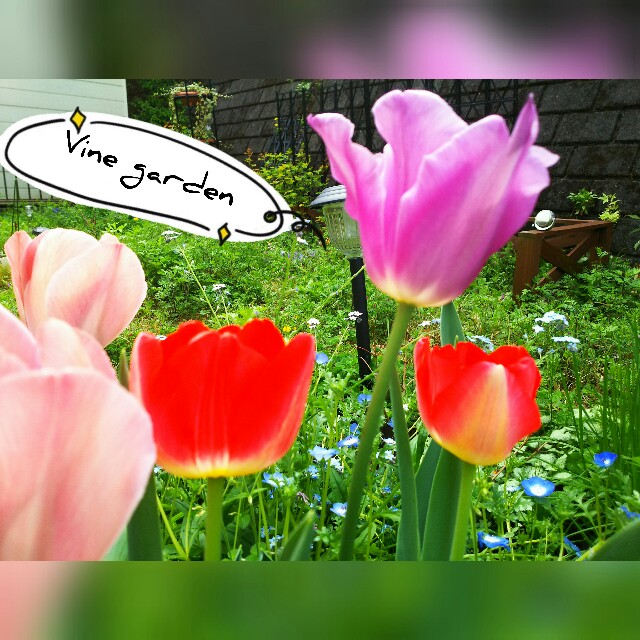 f:id:nagna:20210514225637j:image f:id:nagna:20210514225637j:image