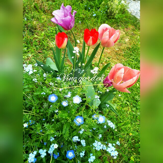 f:id:nagna:20210514225838j:image f:id:nagna:20210514225838j:image