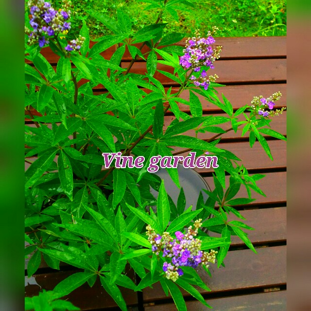 f:id:nagna:20210705013023j:image f:id:nagna:20210705013023j:image