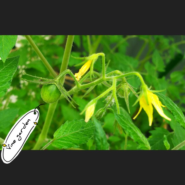 f:id:nagna:20210706173141j:image f:id:nagna:20210706173141j:image