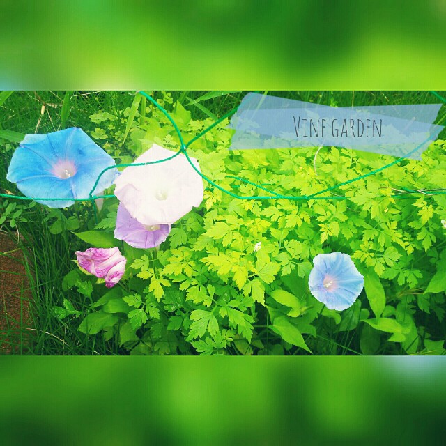 f:id:nagna:20210714082544j:image f:id:nagna:20210714082544j:image