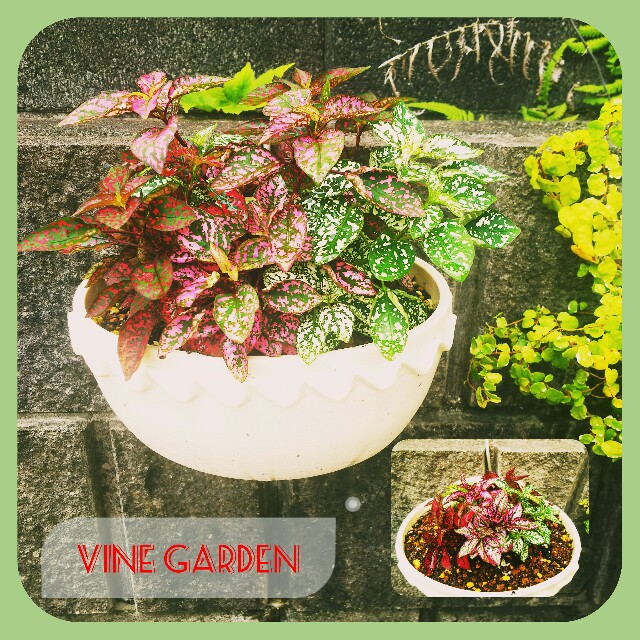 f:id:nagna:20210714131502j:image f:id:nagna:20210714131502j:image