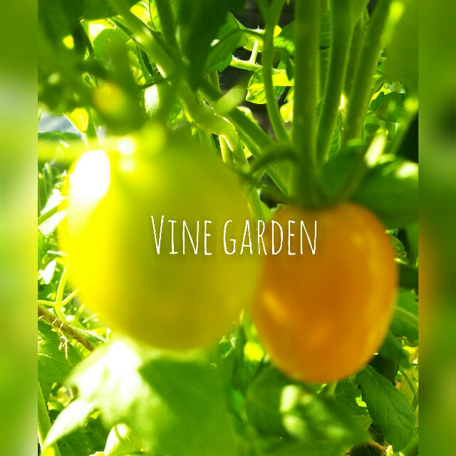 f:id:nagna:20210804181436j:image