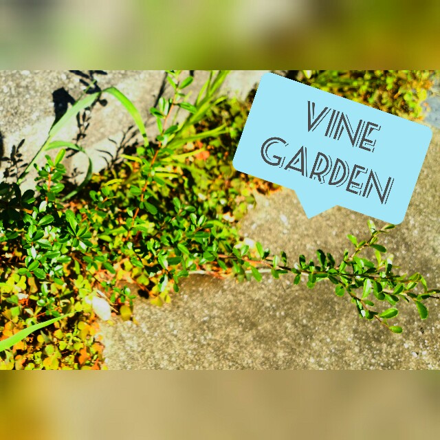 f:id:nagna:20210805201931j:image