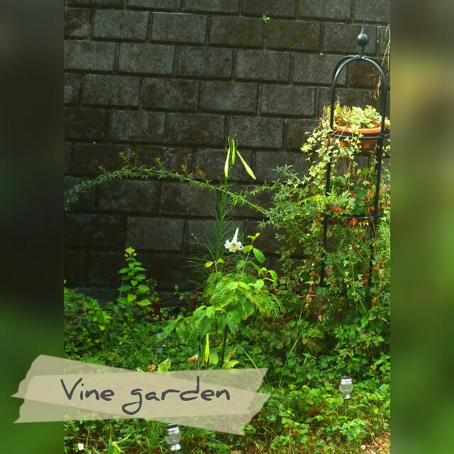 f:id:nagna:20210808080024j:image f:id:nagna:20210808080024j:image