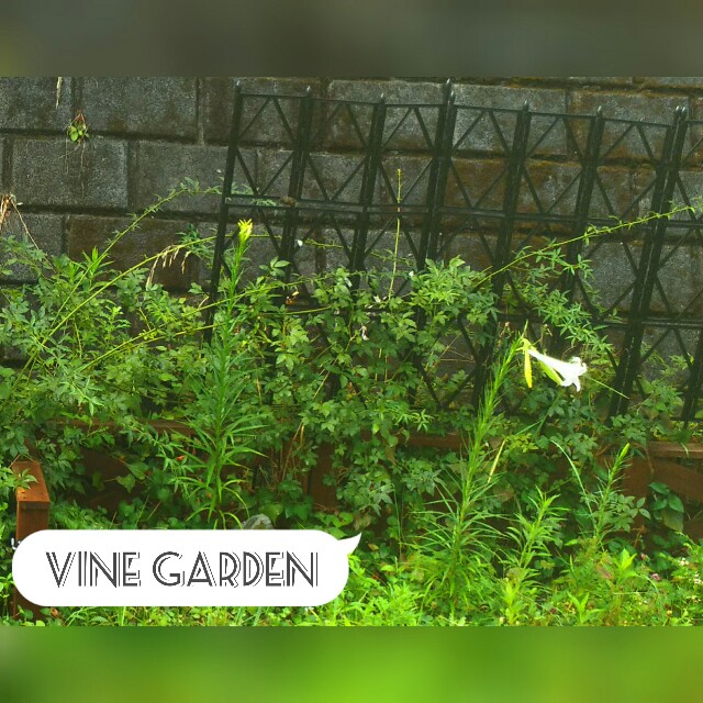 f:id:nagna:20210808080047j:image f:id:nagna:20210808080047j:image