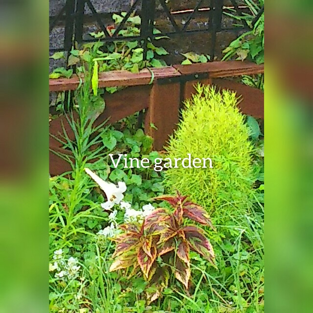 f:id:nagna:20210808080122j:image f:id:nagna:20210808080122j:image