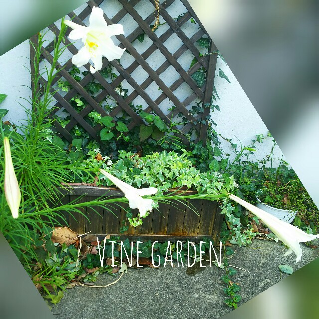 f:id:nagna:20210812143424j:image f:id:nagna:20210812143424j:image