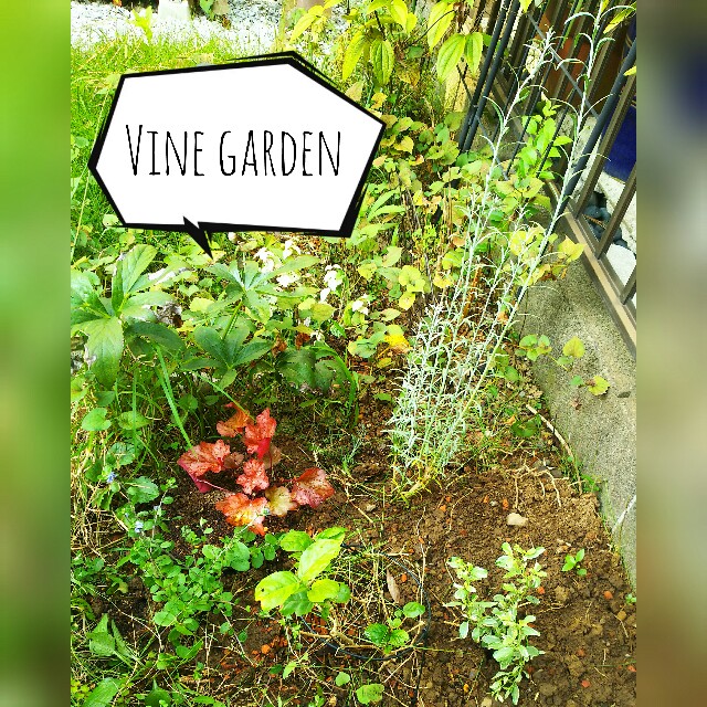 f:id:nagna:20211001082719j:image