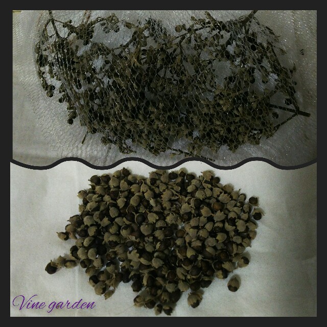 f:id:nagna:20211031000558j:image