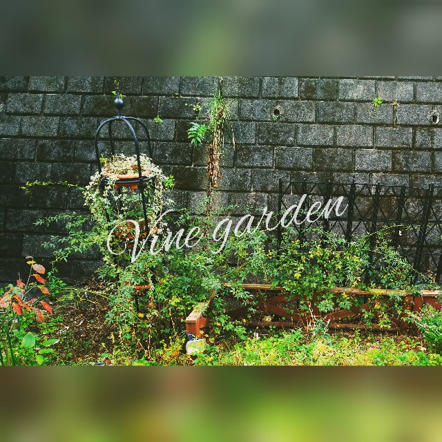 f:id:nagna:20211129001454j:image