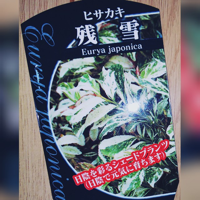 f:id:nagna:20220211232642j:image