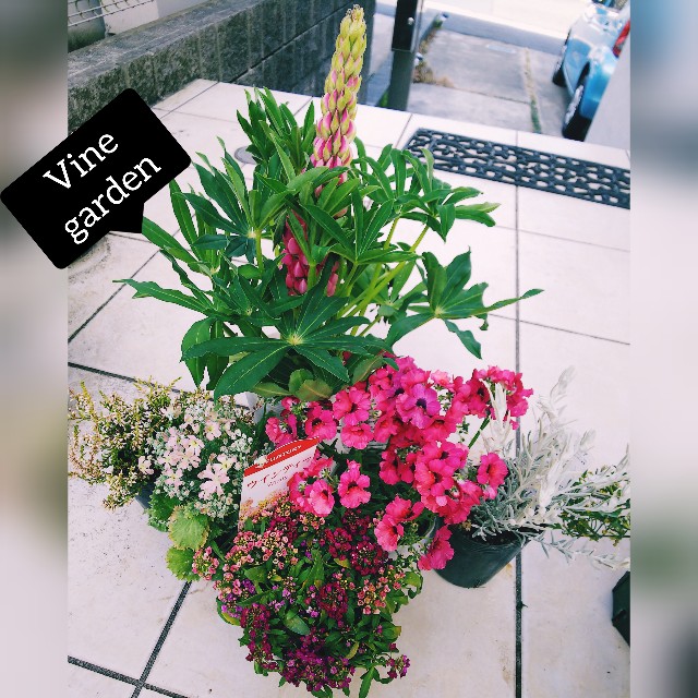 f:id:nagna:20220226084107j:image f:id:nagna:20220226084107j:image