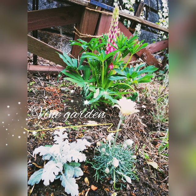 f:id:nagna:20220226182027j:image f:id:nagna:20220226182027j:image